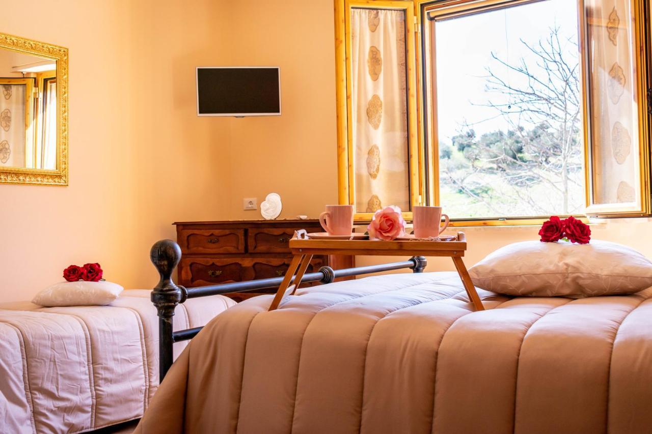 La Casa Del Nonno Bed & Breakfast Spoltore Ngoại thất bức ảnh